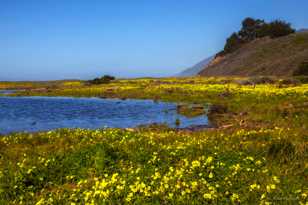 San Carpoforo creek beach-0190